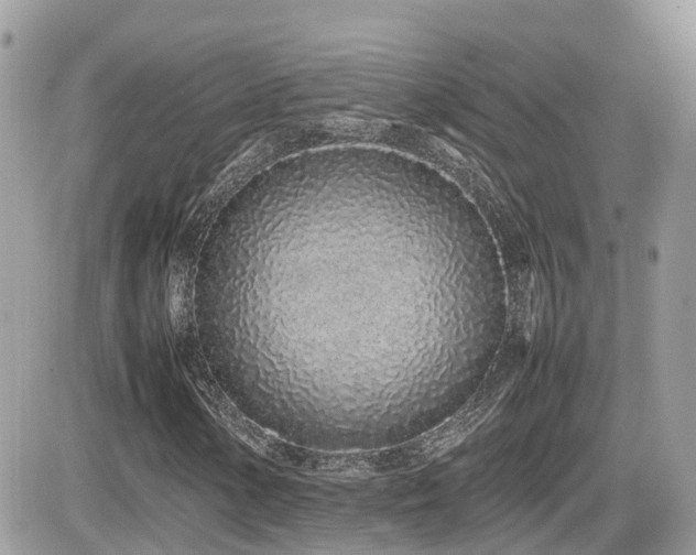 X0000082141154200701191137