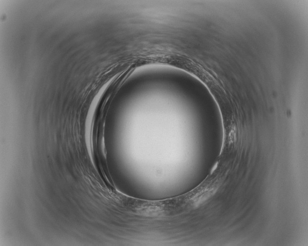 X0000082141156200701191137