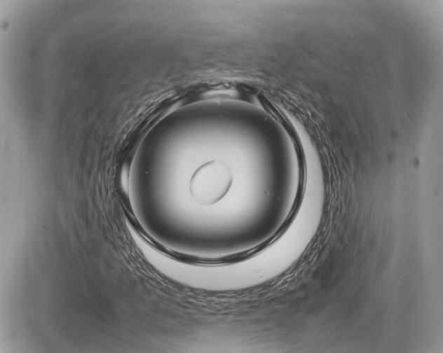 X0000082141157200701191137