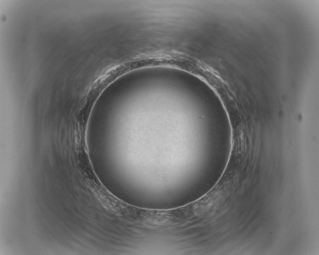 X0000082141158200701191137