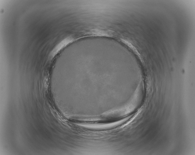 X0000082141163200701191137