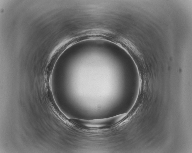 X0000082141164200701191137