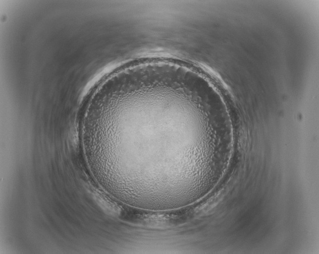 X0000082141167200701191137