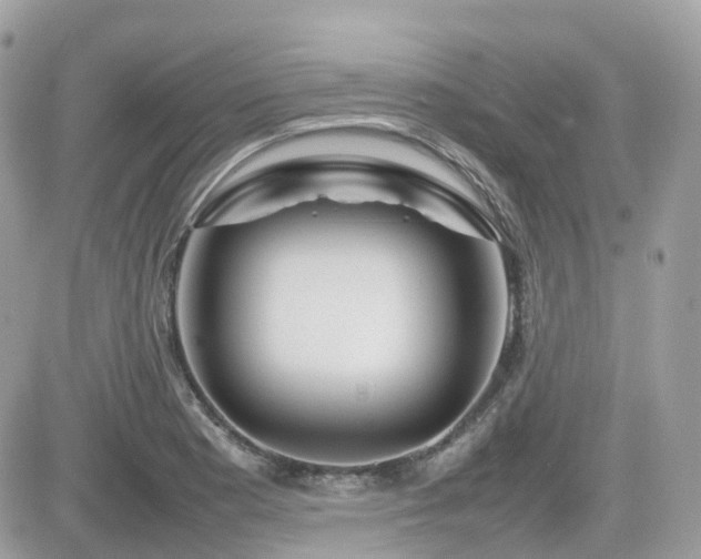 X0000082141177200701191136