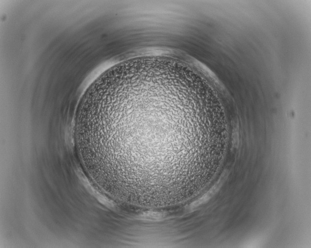 X0000082141178200701191136