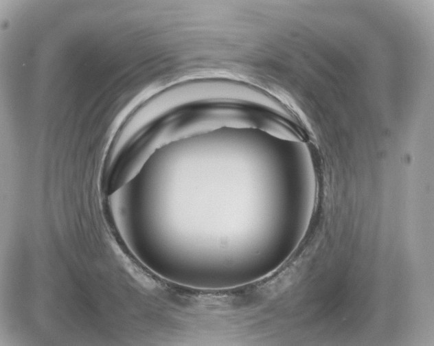 X0000082141181200701191136