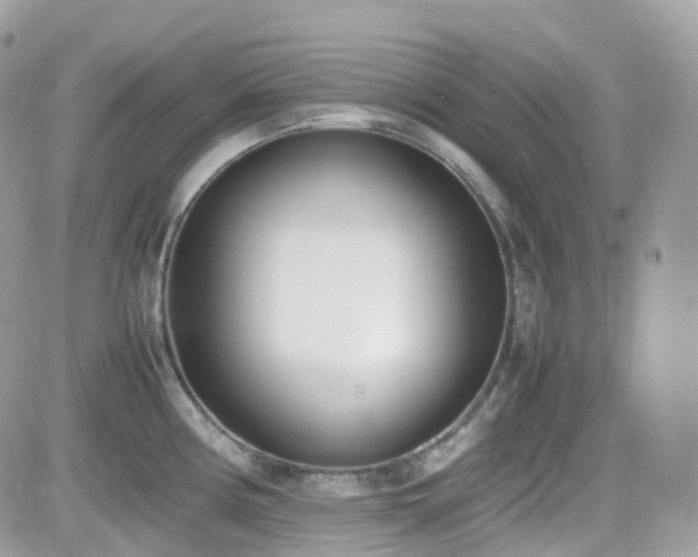 X0000082141194200701191136