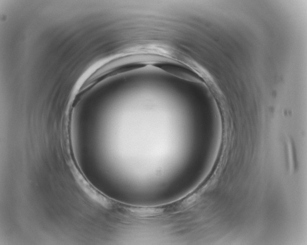 X0000082141200200701191136