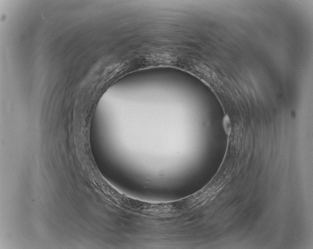 X0000082141201200701191135