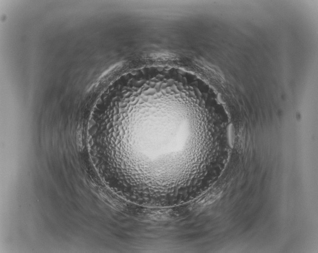 X0000082141205200701191135