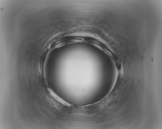X0000082141206200701191135