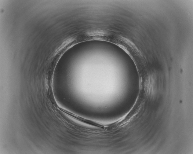 X0000082141209200701191135