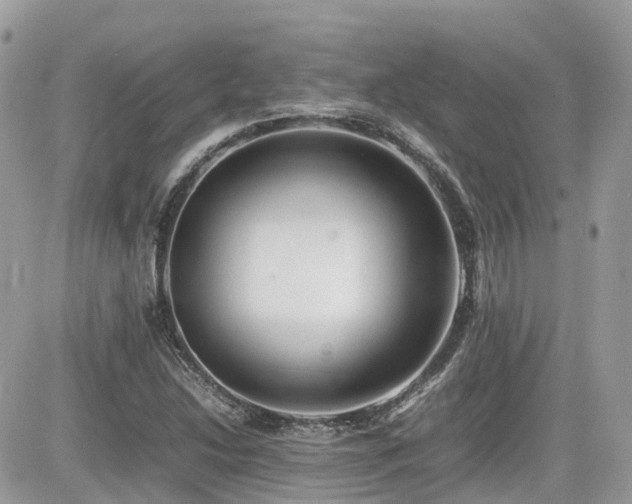 X0000082141214200701191135