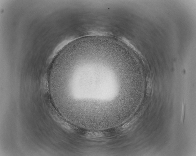 X0000082141215200701191135