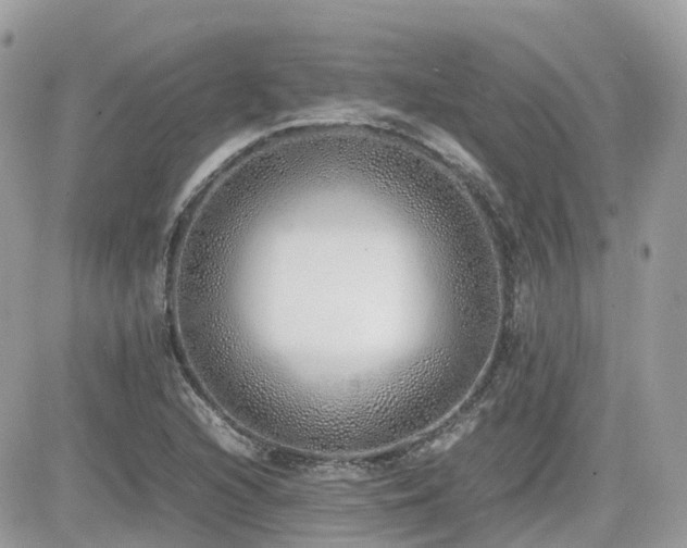 X0000082141216200701191135