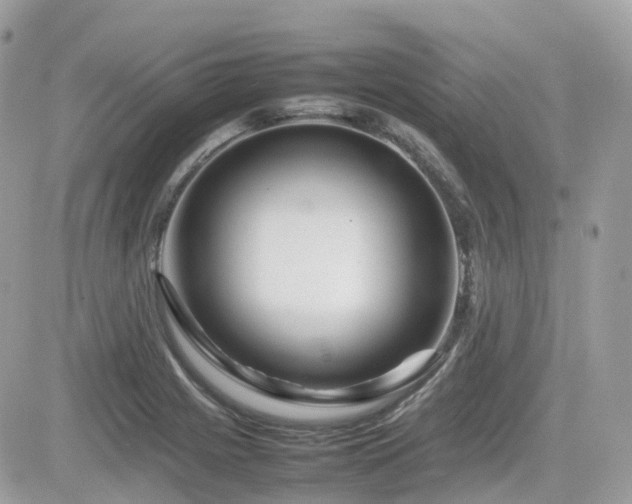 X0000082141225200701191136