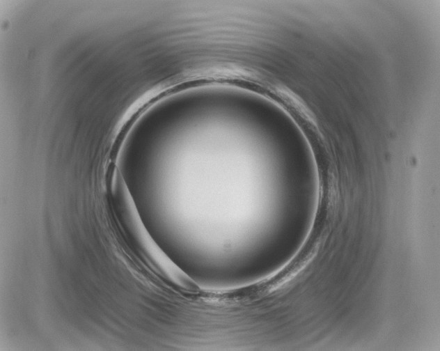 X0000082141226200701191136