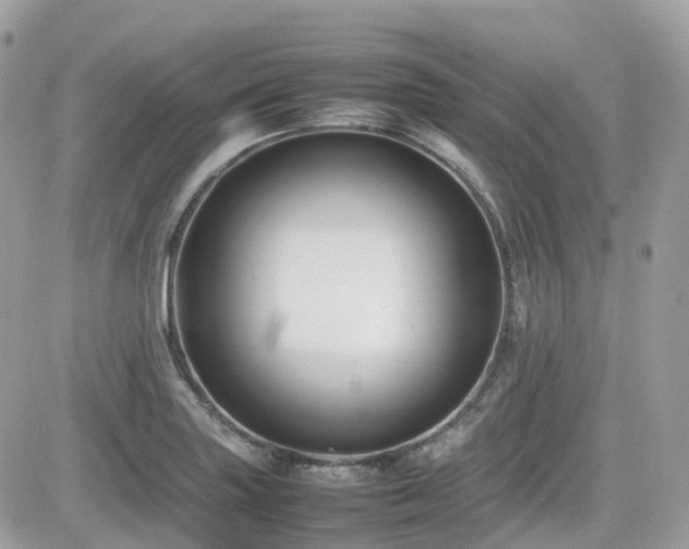 X0000082141227200701191136