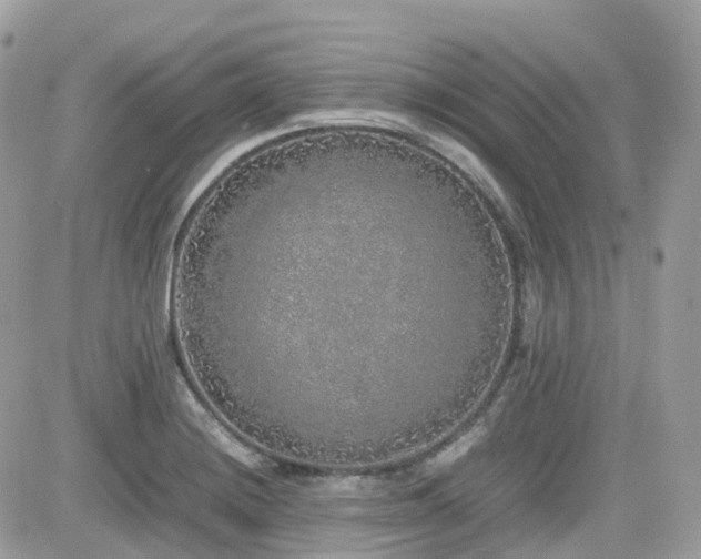 X0000082141228200701191136