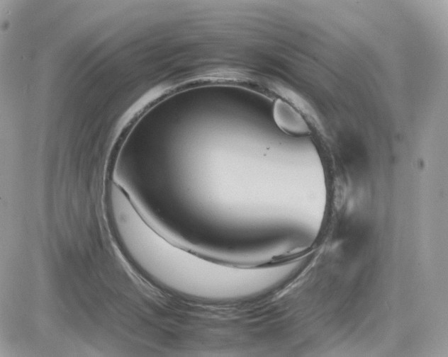 X0000082141229200701191136