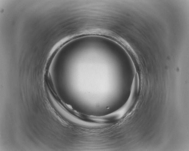 X0000082141230200701191136