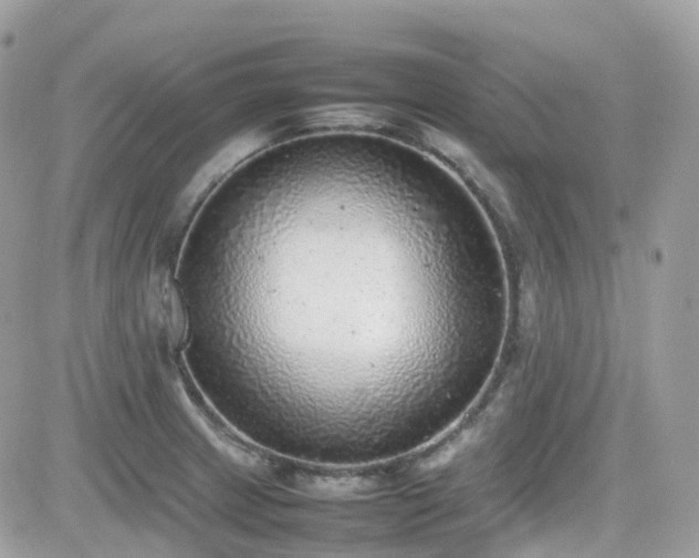 X0000082141233200701191136