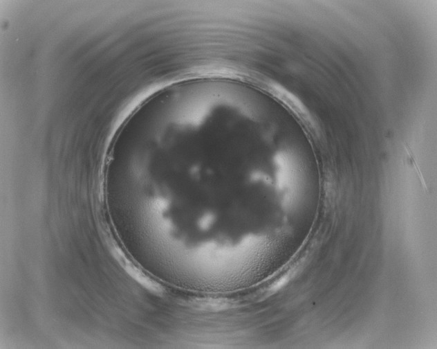 X0000082141236200701191136