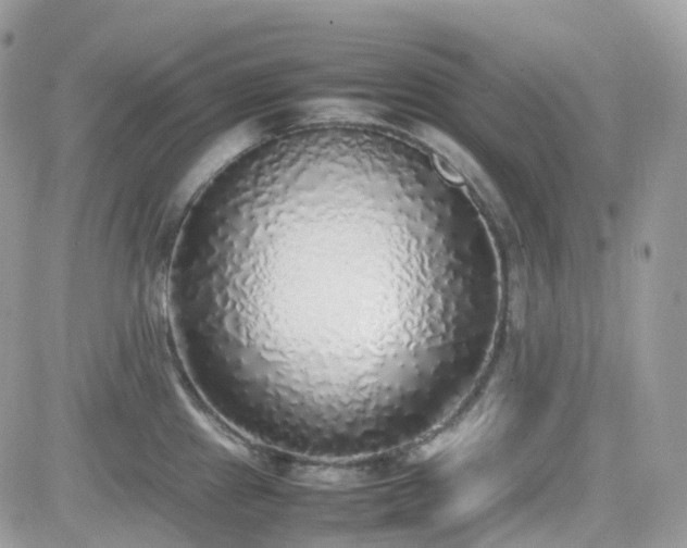 X0000082141241200701191136