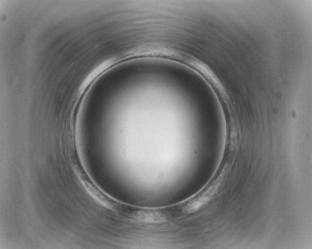 X0000082141242200701191136