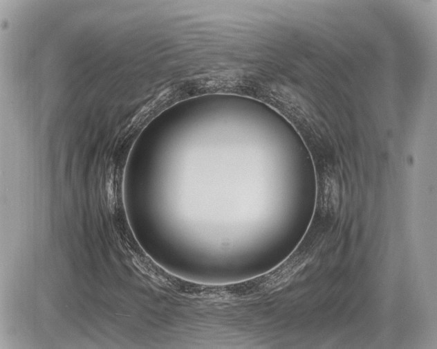 X0000082141250200701191135