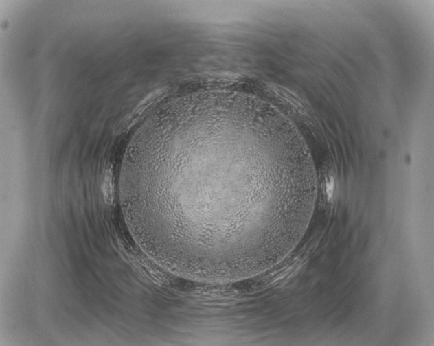 X0000082141252200701191135