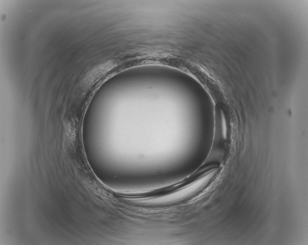 X0000082141257200701191135