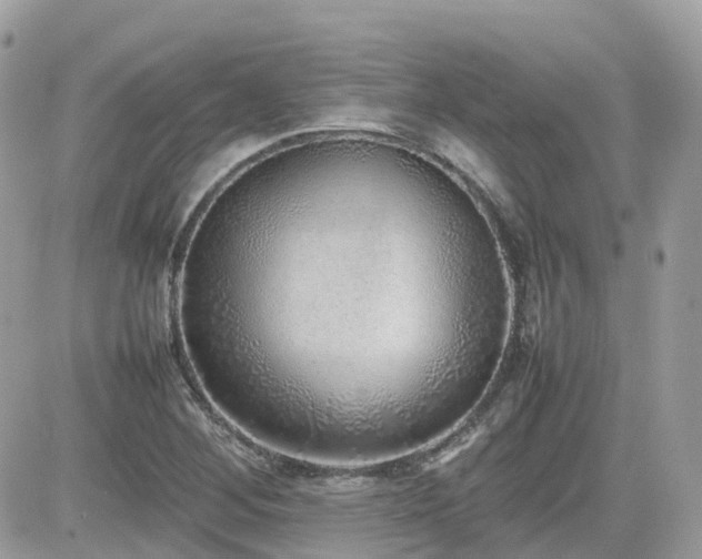 X0000082141268200701191135