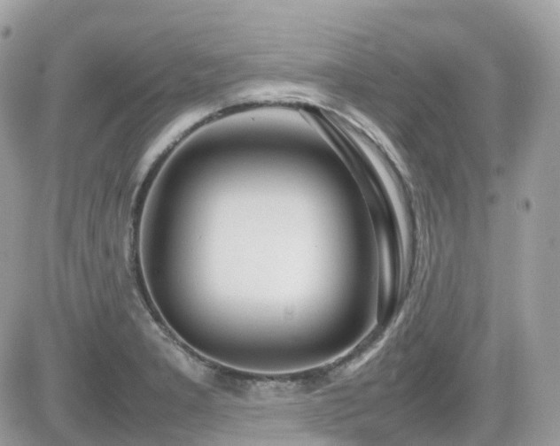 X0000082141277200701191135