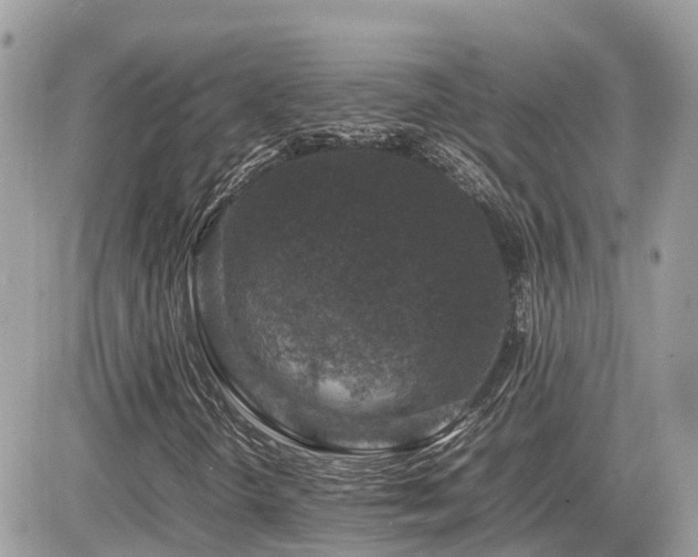 X0000082141298200701191134