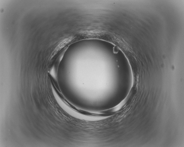 X0000082141300200701191134