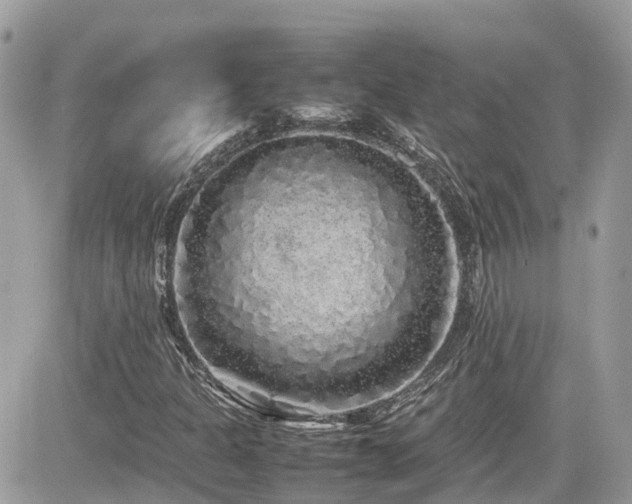 X0000082141301200701191134