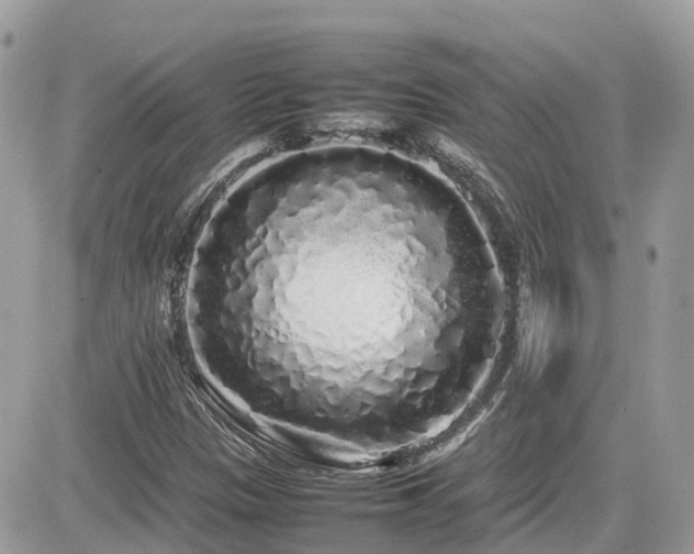 X0000082141305200701191134