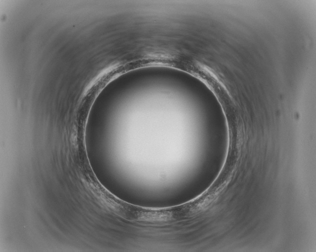 X0000082141307200701191134