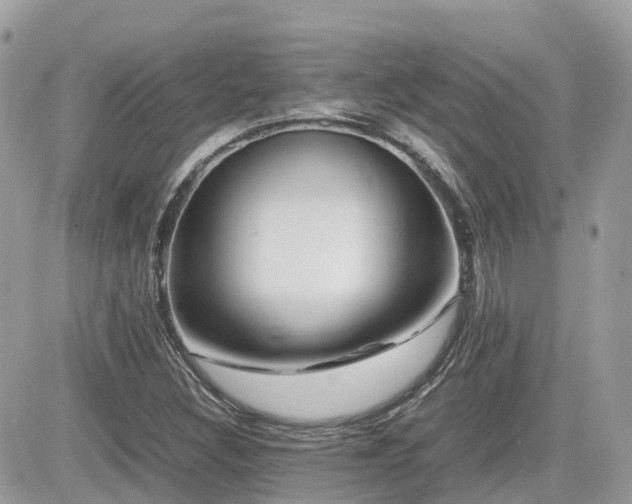 X0000082141308200701191134