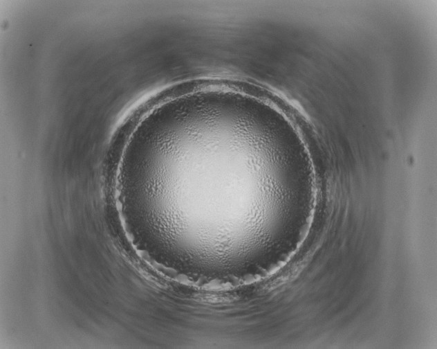 X0000082141311200701191134