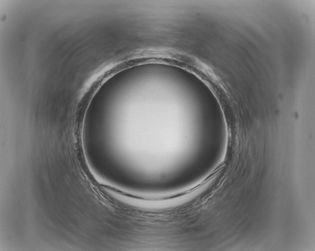 X0000082141312200701191134