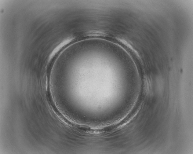 X0000082141317200701191134