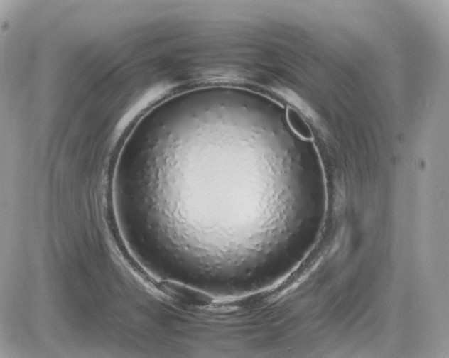 X0000082141325200701191134