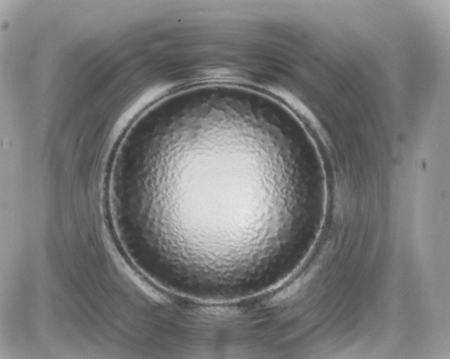 X0000082141333200701191134