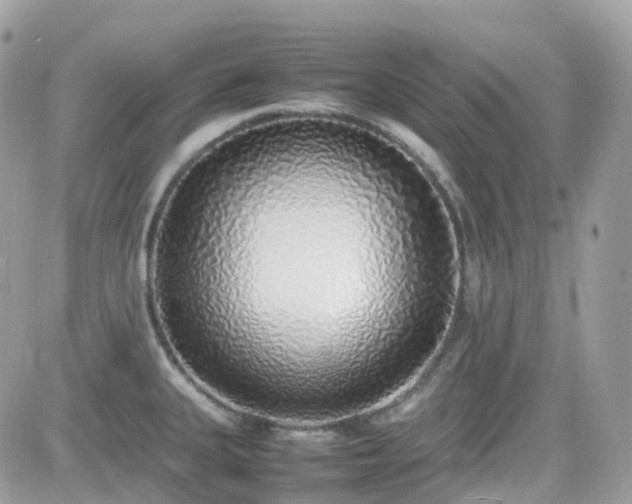 X0000082141335200701191134