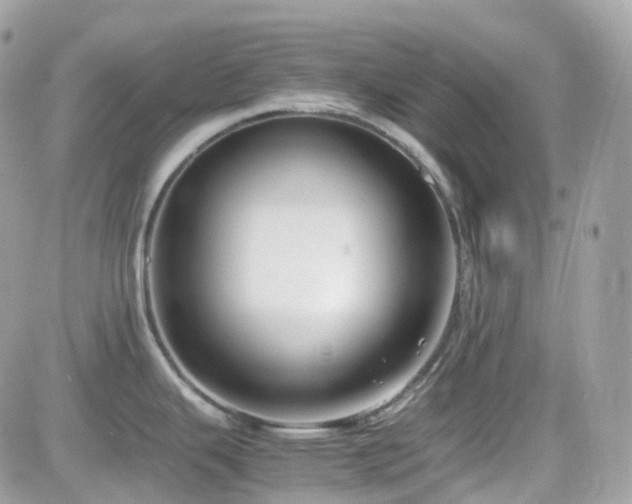 X0000082141343200701191134
