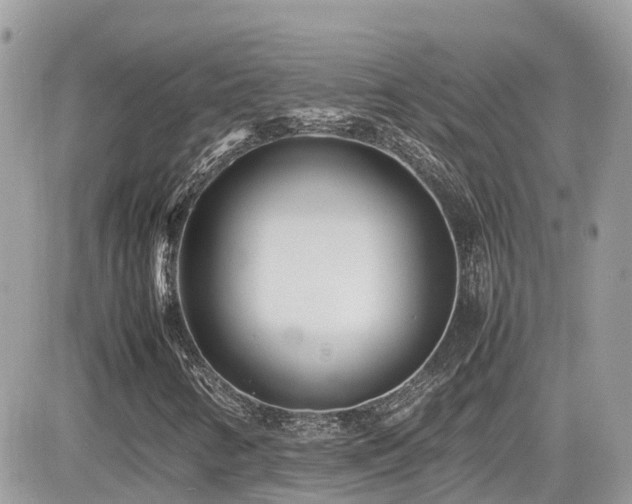 X0000082141346200701191134