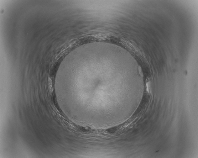 X0000082141347200701191134