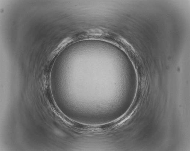 X0000082141353200701191134